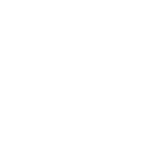 Elisa