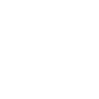 Vue JS